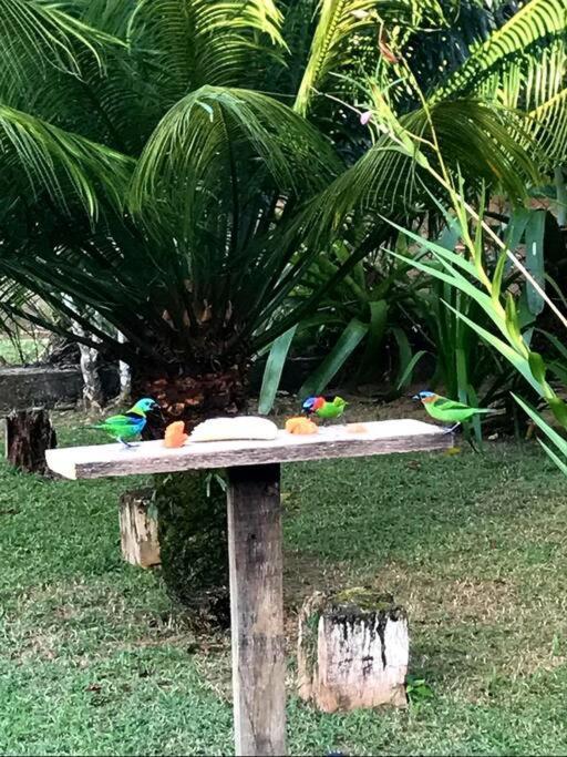 Casa Itamambuca frente ao mar Ubatuba Exterior foto